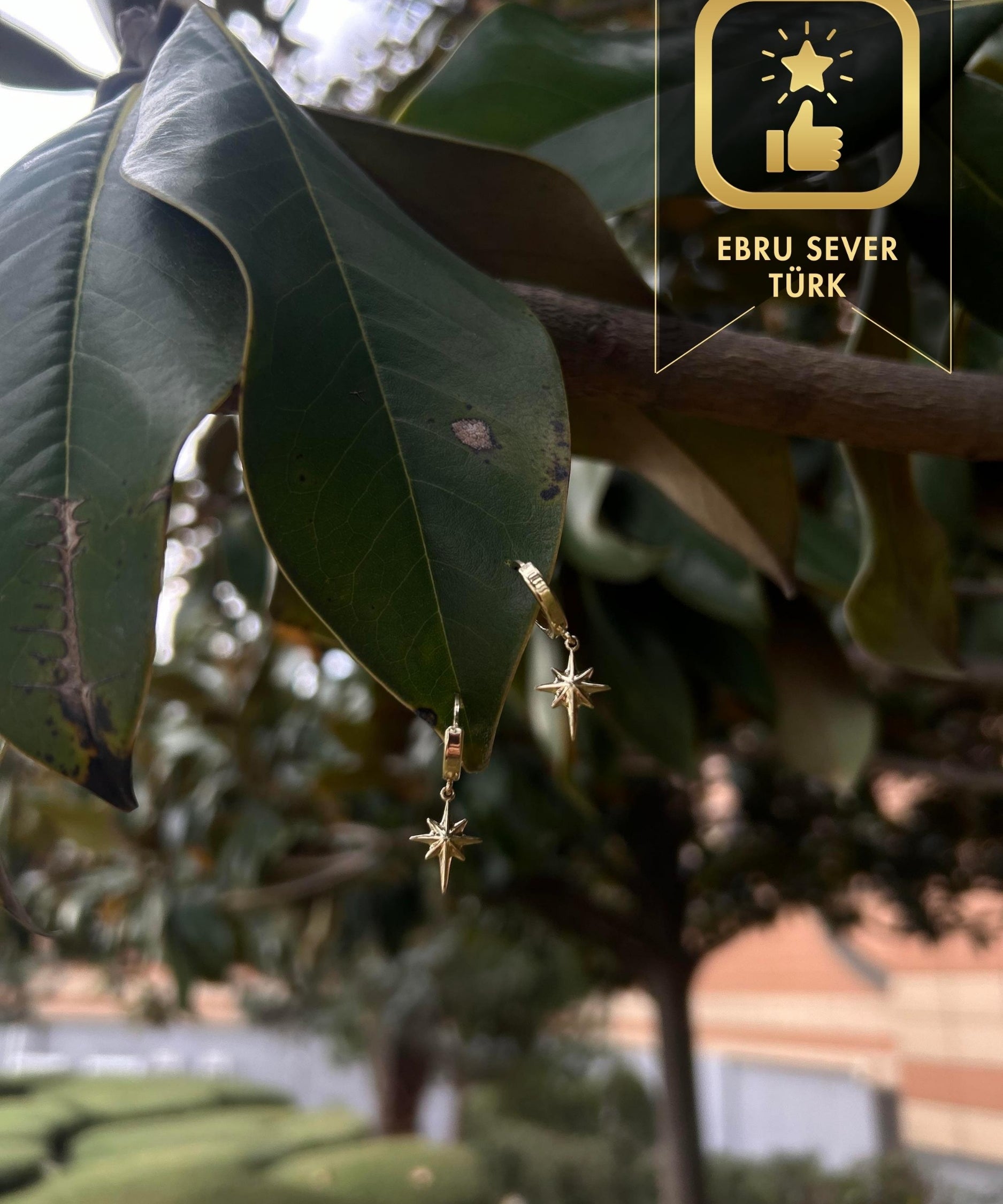 0001060_14-ayar-altin-kutup-yildizi-kupe.jpg
