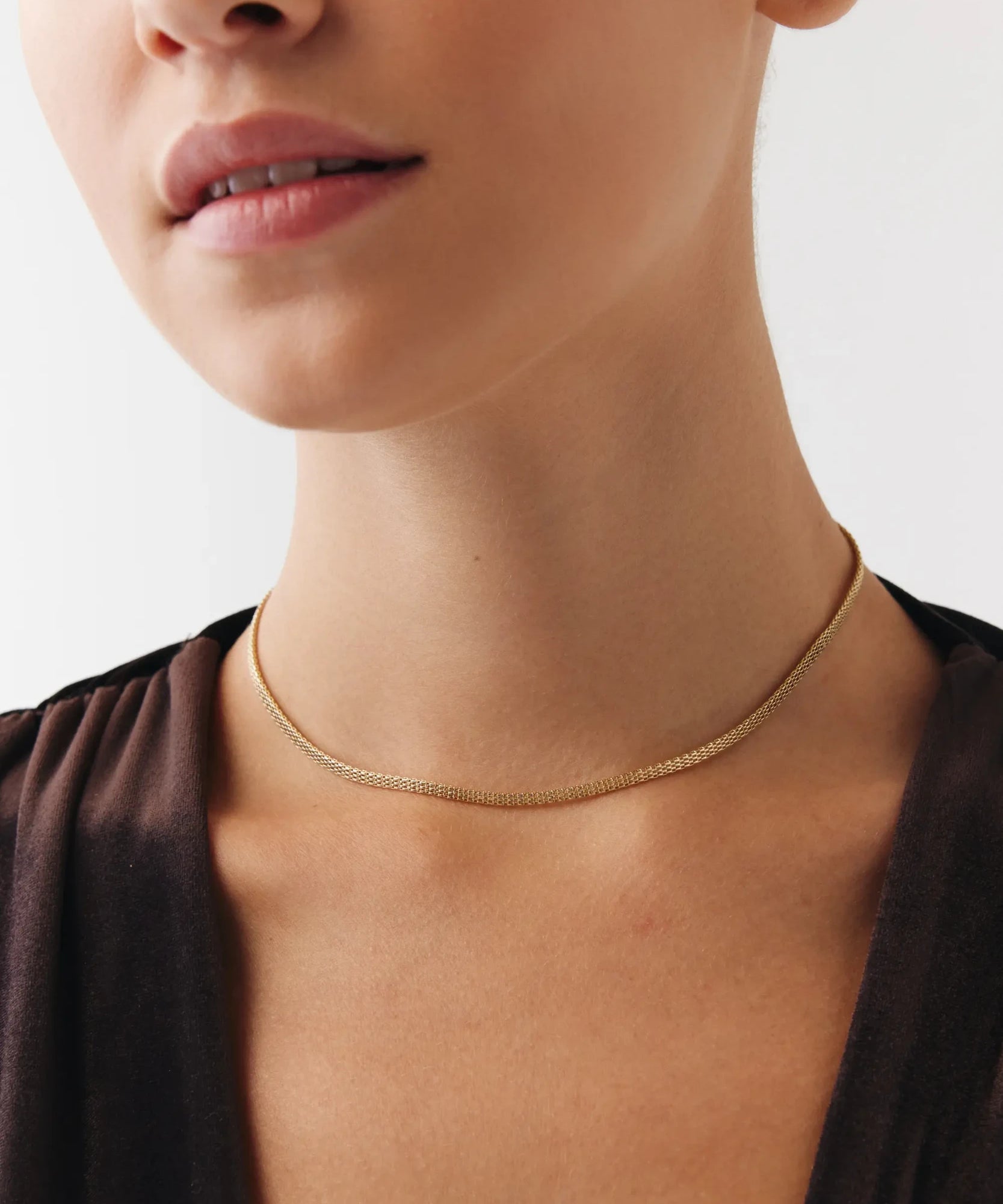 0002033_snake-choker.webp