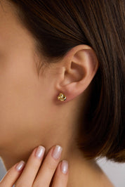 14 Ayar Altın Sarmaşık Küpe