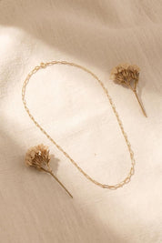 14 Ayar Ataç Altın Zincir Kolye (1.95 mm)