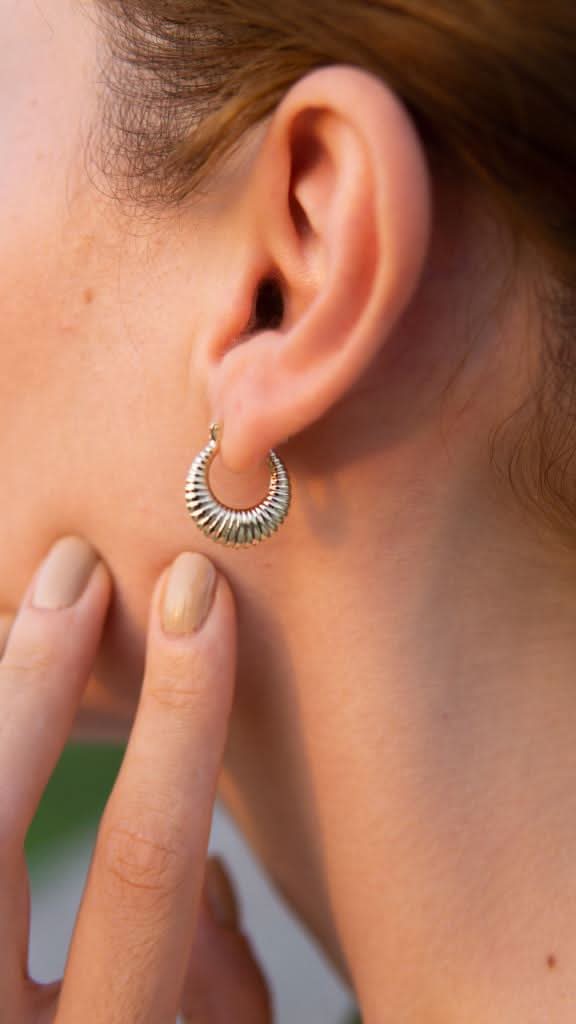 Altın Halka Midye Küpe