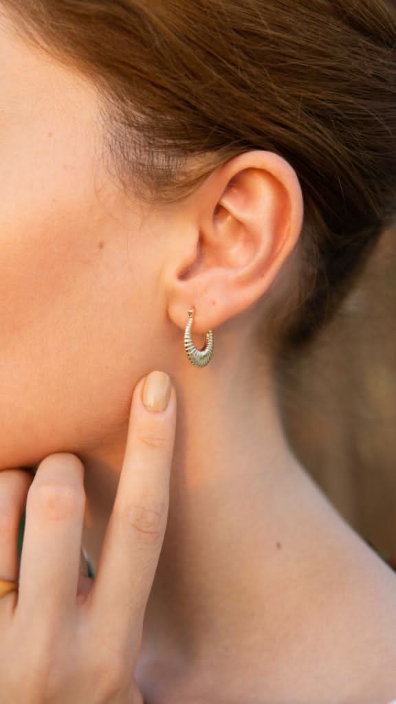 Altın Halka Midye Küpe