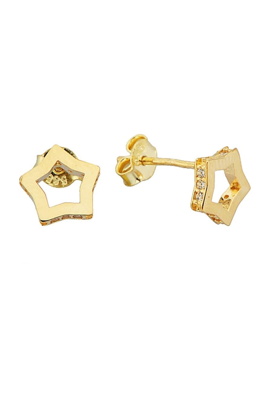 Altın Yıldız  Küpe