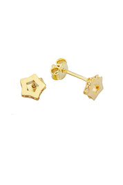 Altın Yıldız Küpe