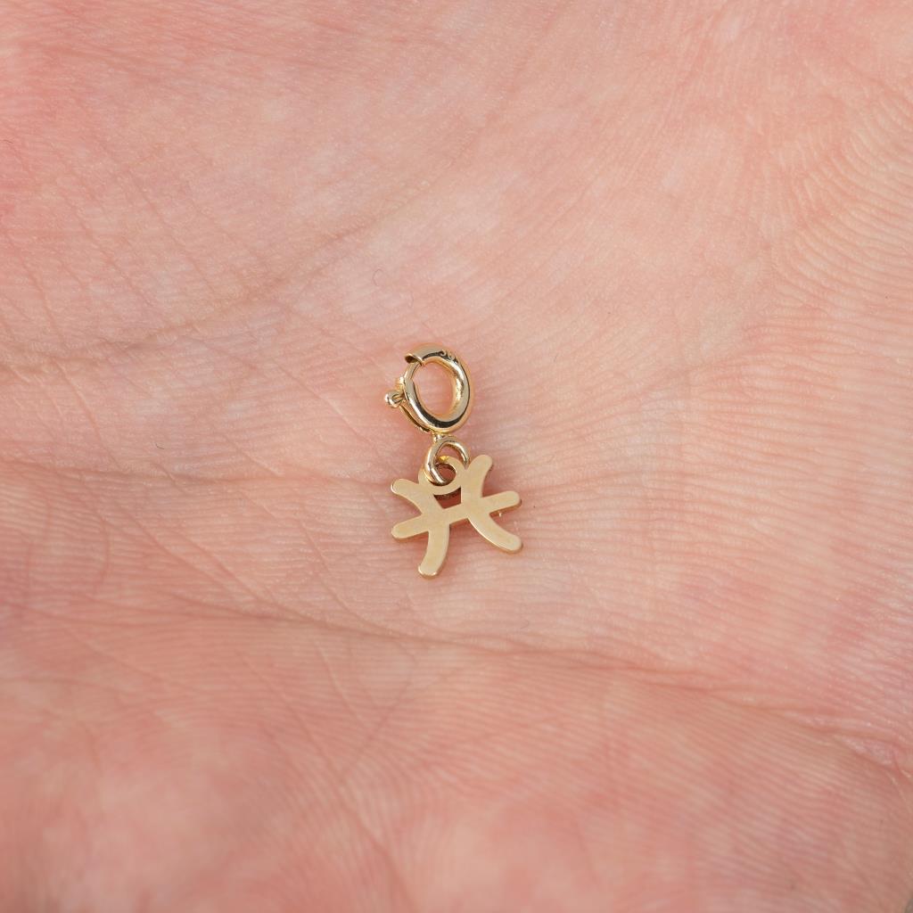 Balık Burcu Pisces Altın Charm