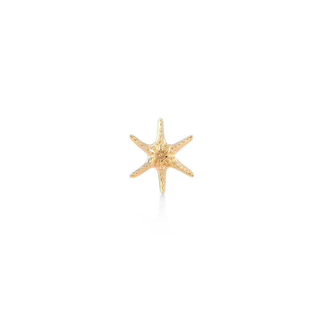 Deniz Yıldızı Altın Piercing