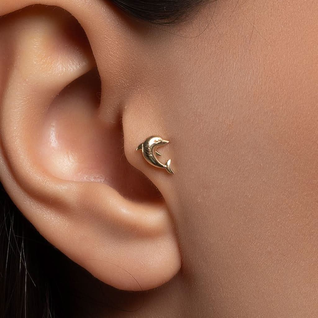 yunus-baligi-altin-piercing-170892.jpg